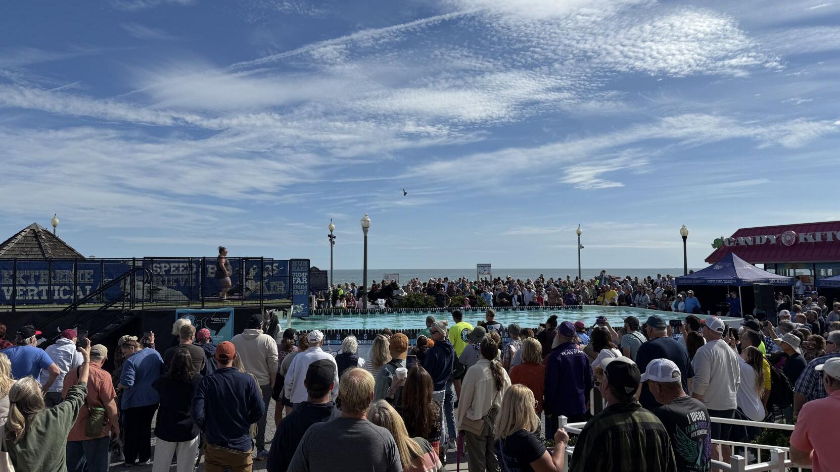 Hundreds attend Bark on the Boards in Rehoboth Beach